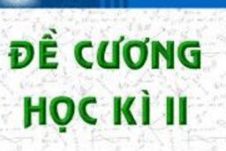 Đề cương ôn tập HK2 năm học 2019-2020 29/05/20