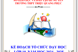 KẾ HOẠCH TỔ CHỨC DẠY HỌC LỚP 10 NĂM HỌC 2024 - 2025 14/05/24