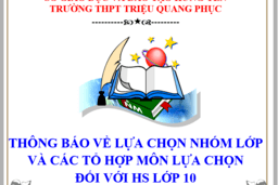 THÔNG BÁO VỀ CÁC PHƯƠNG ÁN LỰA CHỌN NHÓM LỚP VÀ CÁC TỔ HỢP MÔN LỰA CHỌN ĐỐI VỚI HỌC ... 29/06/24